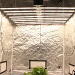 2020 New Arrival 600W 8 Bar Grow Light for Indoor Plant MIC2426040284