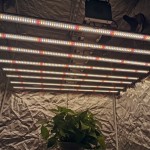 Best Sale OEM Full Spectrum 1000W LED Grow Light for Hydroponics MIC468191271