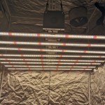 Best LED Grow Light Dimming 800W Grow Lights Waterproof Horticulture Grow Light for Flowering MIC1624079206