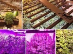 Full Spectrum New Design Hydroponic Bar Lights Dimmable 600W COB LED Grow Light MIC3661954793