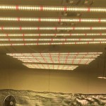 China 1000W cUL Greenhouse LED Grow Light MIC3661527123